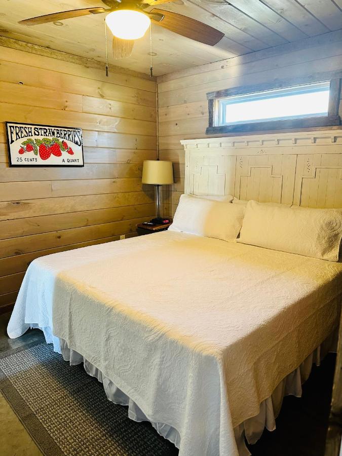 Knotty Squirrel Cabins Mountain View Kültér fotó