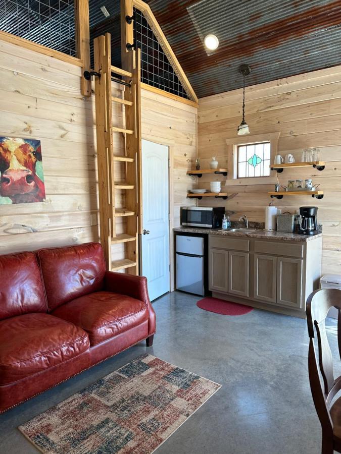 Knotty Squirrel Cabins Mountain View Kültér fotó